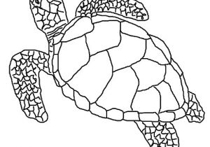 Coloriage D Une tortue Coloriage tortue Ninja à Imprimer