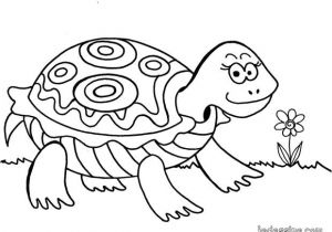 Coloriage D Une tortue Coloriages Coloriage D Une tortue Fr Hellokids