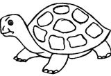 Coloriage D Une tortue La Chachipedia tortugas Terrestres Y Marinas Para Colorear