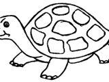 Coloriage D Une tortue La Chachipedia tortugas Terrestres Y Marinas Para Colorear