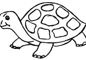 Coloriage D Une tortue La Chachipedia tortugas Terrestres Y Marinas Para Colorear