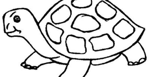 Coloriage D Une tortue La Chachipedia tortugas Terrestres Y Marinas Para Colorear
