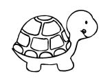 Coloriage D Une tortue tortoise 5 Animals – Printable Coloring Pages