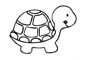 Coloriage D Une tortue tortoise 5 Animals – Printable Coloring Pages