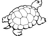 Coloriage D Une tortue tortue 89 Animaux – Coloriages à Imprimer
