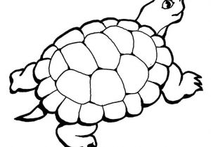 Coloriage D Une tortue tortue 89 Animaux – Coloriages à Imprimer