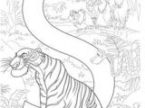 Coloriage Dany Le Tigre à Imprimer Gratuit Coloriage