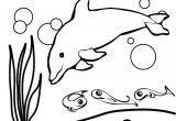 Coloriage Dauphin à Imprimer Gratuit De Coloriage Dauphin Les Beaux Dessins De Animaux Coloriage