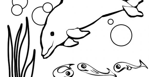 Coloriage Dauphin à Imprimer Gratuit De Coloriage Dauphin Les Beaux Dessins De Animaux Coloriage