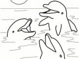 Coloriage Dauphin A Imprimer Les 251 Meilleures Images De Dauphin Brico
