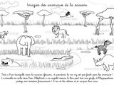 Coloriage De Animaux De La Savane Coloriage à Imprimer Imagier Des Animaux De La Savane