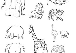 Coloriage De Animaux De La Savane Coloriage Animaux De La Savane Maternelle Archives