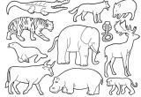 Coloriage De Animaux De La Savane Coloriage Animaux De La Savane