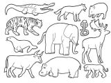 Coloriage De Animaux De La Savane Coloriage Animaux De La Savane