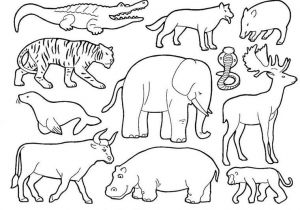 Coloriage De Animaux De La Savane Coloriage Animaux De La Savane