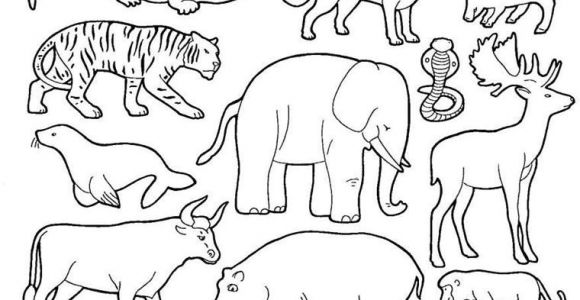 Coloriage De Animaux De La Savane Coloriage Animaux De La Savane