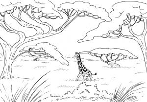 Coloriage De Animaux De La Savane Coloriage Savane