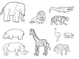 Coloriage De Animaux De La Savane Les Animaux De La Savane