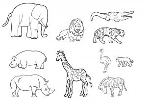 Coloriage De Animaux De La Savane Les Animaux De La Savane