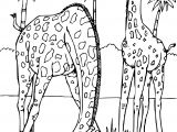 Coloriage De Animaux De La Savane Meilleur De Coloriage A Imprimer Gratuit Animaux De La