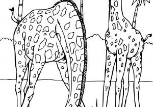 Coloriage De Animaux De La Savane Meilleur De Coloriage A Imprimer Gratuit Animaux De La