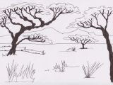 Coloriage De Animaux De La Savane Nouveau Coloriage De La Savane A Imprimer