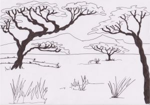 Coloriage De Animaux De La Savane Nouveau Coloriage De La Savane A Imprimer