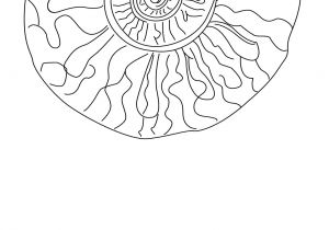 Coloriage De Ariel La Petite Sirène A Imprimer Coloriage Coquillage De Mer