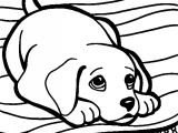Coloriage De Bébé Chien Dessins Colorier Coloriage Chiot Imprimer L Int Rieur