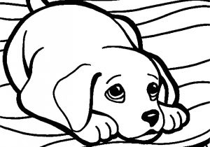 Coloriage De Bébé Chien Dessins Colorier Coloriage Chiot Imprimer L Int Rieur