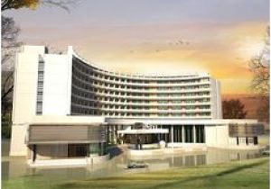 Coloriage De Bébé Chiot Les 80 Meilleures Images De Hotel