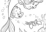 Coloriage De Belle Et Sebastien 106 Best Coloriages A Imprimer Images On Pinterest