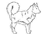 Coloriage De Berger Allemand Coloriage Berger Allemand Az Coloriage
