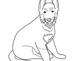 Coloriage De Berger Allemand Coloriage Chien Berger Allemand A Imprimer Gratuit Az Coloriage
