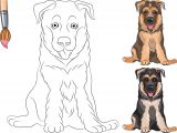 Coloriage De Berger Allemand Dessin Visage De Chien Luxe Décor Coloriage De Bebe Chien Berger