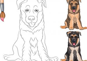 Coloriage De Berger Allemand Dessin Visage De Chien Luxe Décor Coloriage De Bebe Chien Berger