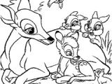 Coloriage De Biche A Imprimer Gratuit 145 Dessins De Coloriage Animaux   Imprimer
