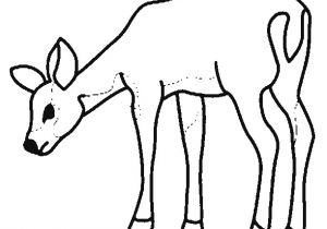 Coloriage De Biche A Imprimer Gratuit Coloriage Page 3 Coloriage De Biche A Imprimer Gratuit Coloriage Page 3