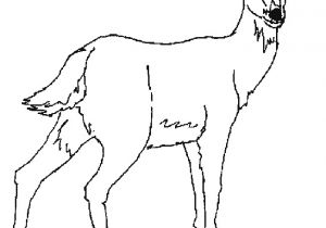 Coloriage De Biche A Imprimer Gratuit Dessin Animal Az Coloriage Coloriage De Biche A Imprimer Gratuit Dessin Animal Az Coloriage