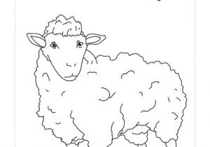 Coloriage De Boeuf 247 Best Coloriage   Imprimer Et Activité Manuelle Découverte Images