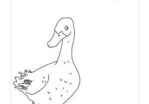Coloriage De Boeuf Animaux Ferme Dessin A Colorier Canard Coloriage
