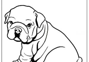 Coloriage De Bouledogue Francais Coloriage Bouledogue Jobstips