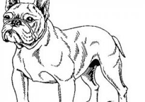 Coloriage De Bouledogue Francais Dessin De Bouledogue Francais Coloriage