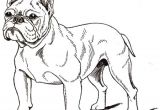Coloriage De Bouledogue Francais Dessin De Chien Bouledogue Francais Les Dessins Et Coloriage