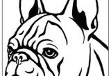 Coloriage De Bouledogue Francais Dessin De Chien Bouledogue Les Dessins Et Coloriage