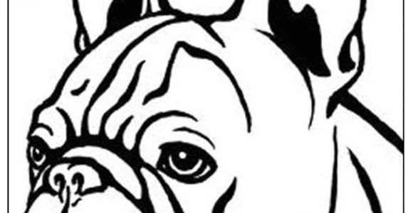Coloriage De Bouledogue Francais Dessin De Chien Bouledogue Les Dessins Et Coloriage