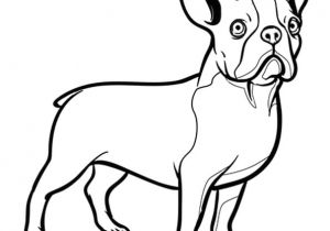Coloriage De Bouledogue Francais Pin Dessin Chiot Bouledogue Francais On Pinterest