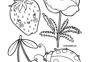Coloriage De Cerise Colorie Madame Fraise Madame Coquelicot Mamie Coccinelle Et