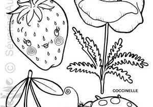 Coloriage De Cerise Retour   L Illustration En Douceur Avec Un Cahier De Coloriages