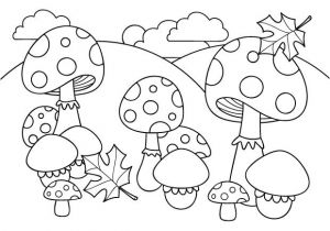 Coloriage De Champignons D Automne Die 67 Besten Bilder Von Pilz